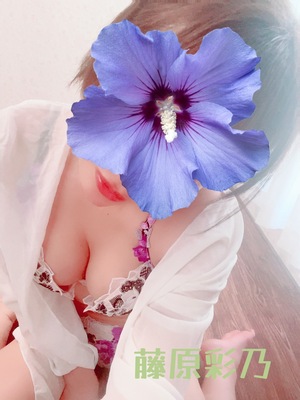 さんの写真